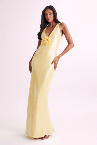 Eliza Rose Sequin Maxi Dress