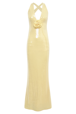 Eliza Rose Sequin Maxi Dress